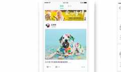 大連寵物醫(yī)院app開發(fā)功能案例簡介