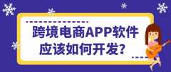 跨境電商APP開發(fā)常見功能有哪些？