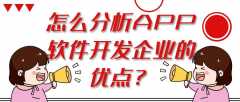 如何分享app開發(fā)公司的優(yōu)缺點(diǎn)？