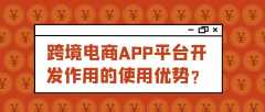 跨境電商APP開發(fā)優(yōu)勢是什么？有成品案例嗎？